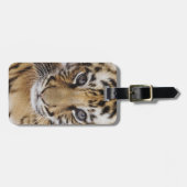 Tiger Cub Gepäckanhänger (Vorderseite horizontal)