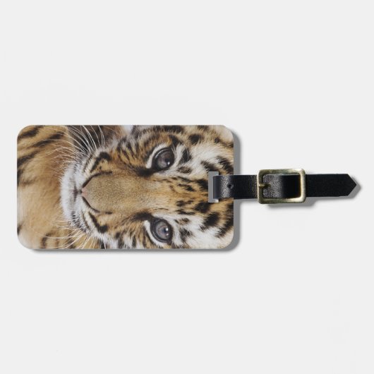 Tiger Cub Gepäckanhänger (Vorderseite horizontal)