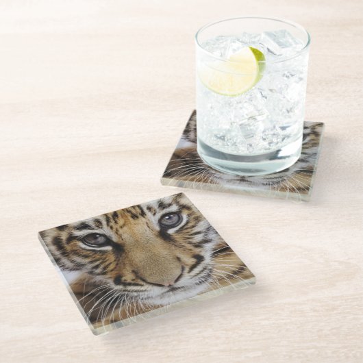 Tiger CUB Glasuntersetzer (Schrägansicht)