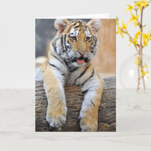 Tiger Cub Greeting Card Karte (Gelbe Blume)