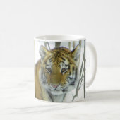 Tiger CUB im Schnee, der um Baum späht Kaffeetasse (VorderseiteRechts)