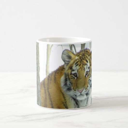 Tiger CUB im Schnee, der um Baum späht Kaffeetasse (Mittel)