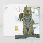 Tiger Cub in Snow Portrait Postkarte (Vorne/Hinten)