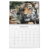 Tiger CUB Kalender (Feb 2027)