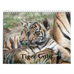 Tiger CUB Kalender