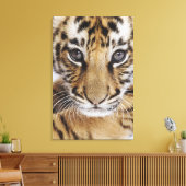 Tiger Cub Leinwanddruck (Insitu (Wohnzimmer))