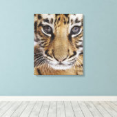 Tiger Cub Leinwanddruck (Insitu (Holzboden))