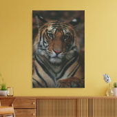 Tiger Cub Leinwanddruck (Insitu (Wohnzimmer))