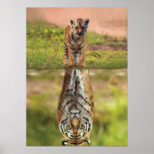 Tiger Cub - Mindset - Reflektion des Wassers - Erf Poster (Vorne)