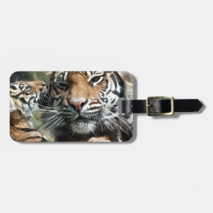 Tiger CUB mit Mama Gepäckanhänger