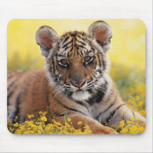 Tiger Cub Mouse Mat Mousepad