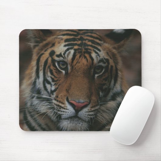 Tiger Cub Mousepad (Mit Mouse)