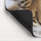 Tiger CUB Mousepad (Ecke)