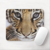Tiger CUB Mousepad (Mit Mouse)