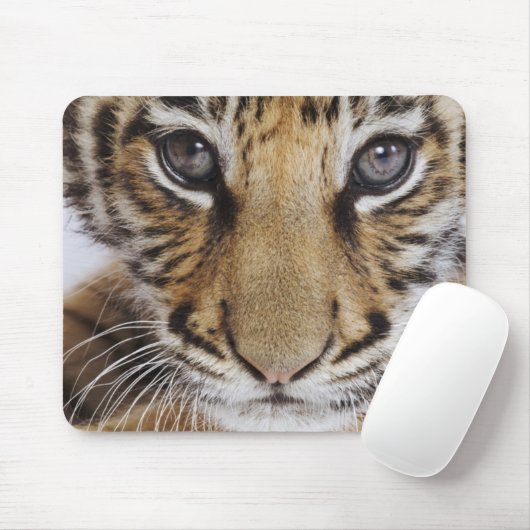 Tiger CUB Mousepad (Mit Mouse)