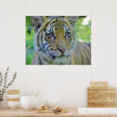 Tiger Cub Nah up Portrait Poster (Küche)