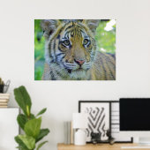 Tiger Cub Nah up Portrait Poster (Heimbüro)