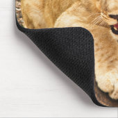 Tiger CUB nimmt Verschnaufpause auf einem Felsen Mousepad (Ecke)