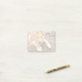 Tiger CUB nimmt Verschnaufpause auf einem Felsen Post-it Klebezettel (Auf Schreibtisch)