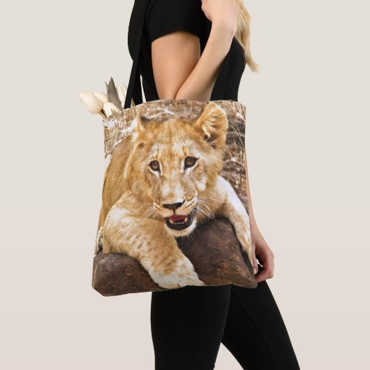 Tiger CUB nimmt Verschnaufpause auf einem Felsen Tasche (Von Nahem)