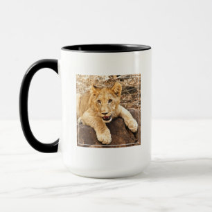 Tiger CUB nimmt Verschnaufpause auf einem Felsen Tasse