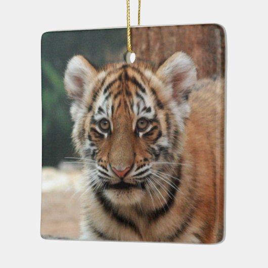 Tiger Cub Ornament (Links)
