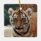 Tiger Cub Ornament (Vorderseite)