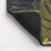 Tiger-CUB-Porträt 4 Mousepad (Ecke)