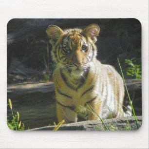 Tiger-CUB-Porträt 4 Mousepad