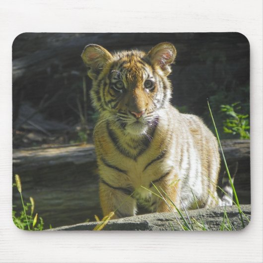 Tiger-CUB-Porträt 4 Mousepad (Vorne)