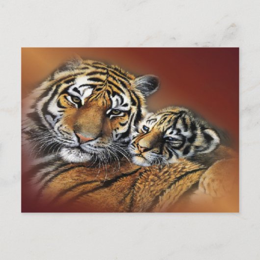 Tiger & Cub Postcard Postkarte (Vorderseite)