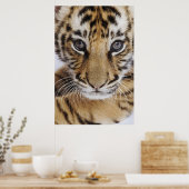 Tiger Cub Poster (Küche)