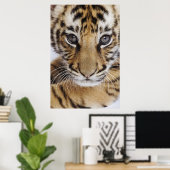Tiger Cub Poster (Heimbüro)