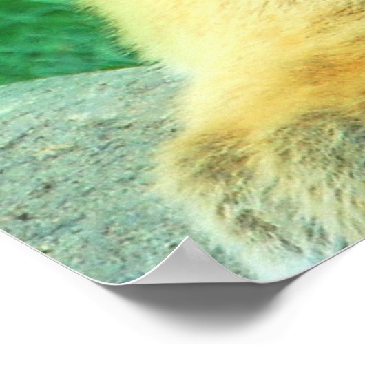 Tiger Cub Poster (Ecke)