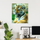 Tiger Cub Poster (Heimbüro)