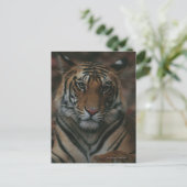 Tiger Cub Postkarte (Stehend Vorderseite)