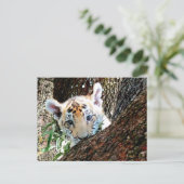 Tiger-CUB-Postkarte Postkarte (Stehend Vorderseite)