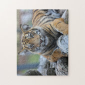 Tiger CUB Puzzle (Vertikal)