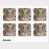 Tiger Cub Quadratischer Aufkleber (Blatt)