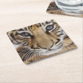 Tiger CUB Rechteckiger Pappuntersetzer (angewinkelt)