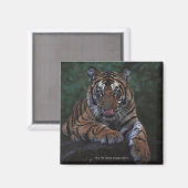 Tiger Cub Reclines on Rock Magnet (Vorderseite/Rückseite)