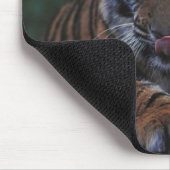 Tiger Cub Reclines on Rock Mousepad (Ecke)