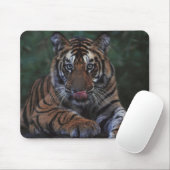 Tiger Cub Reclines on Rock Mousepad (Mit Mouse)