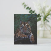 Tiger Cub Reclines on Rock Postkarte (Stehend Vorderseite)