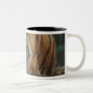 Tiger CUB schläft auf Felsen Zweifarbige Tasse