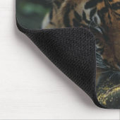 Tiger Cub schläft auf Rock Mousepad (Ecke)