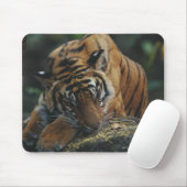Tiger Cub schläft auf Rock Mousepad (Mit Mouse)