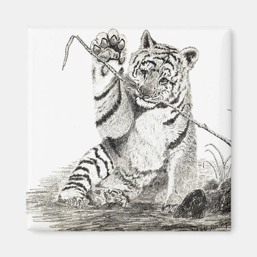 Tiger cub spielt Magnet (Vorne)
