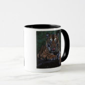 Tiger CUB stützt auf Felsen Tasse (VorderseiteRechts)