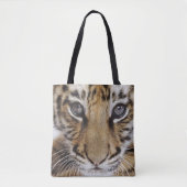 Tiger CUB Tasche (Vorderseite)